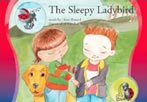 The Sleepy Ladybird